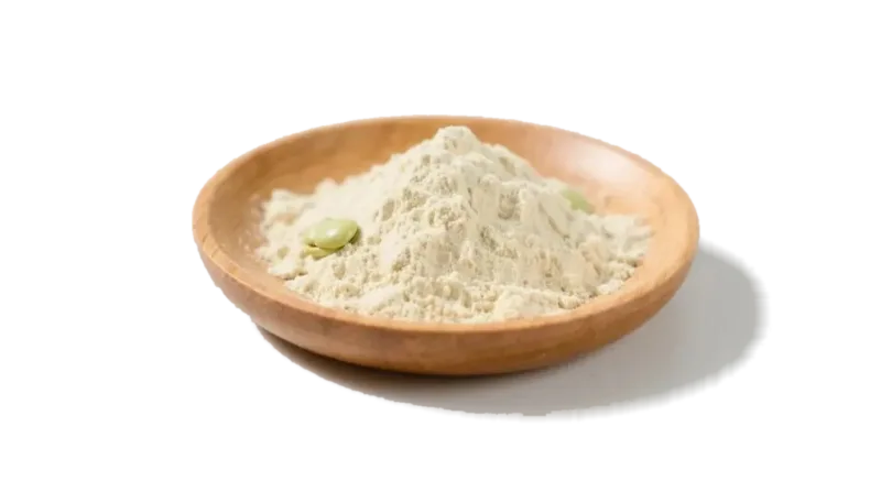 Proteína de haba orgánica en polvo 2 Organic Fava Bean Protein Powder