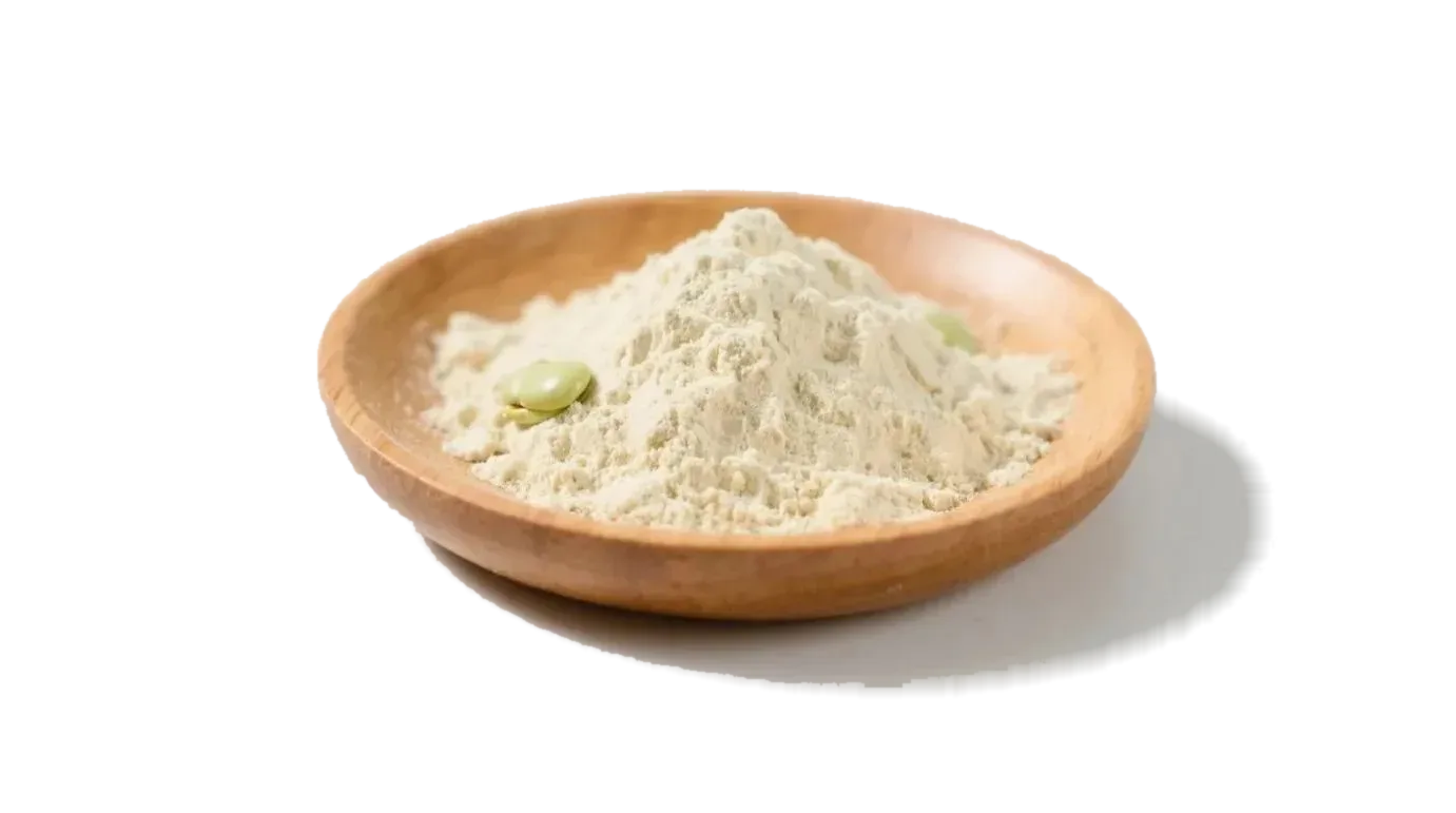 Proteína de haba orgánica en polvo 1 Organic Fava Bean Protein Powder