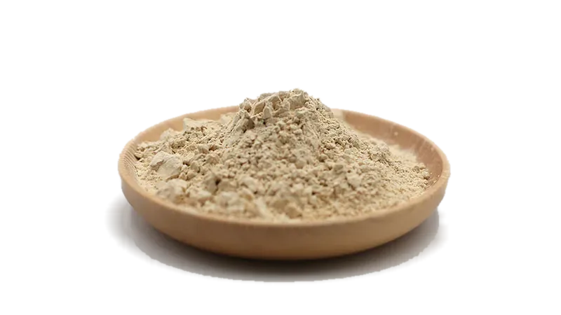 Organic Rice Protein Isolate Powder